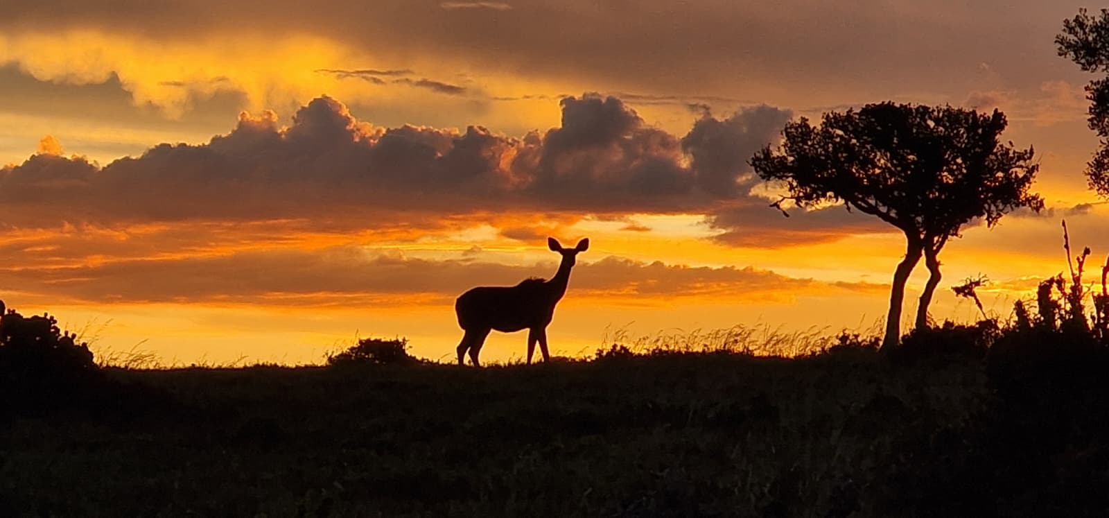 Eastern Cape dusk