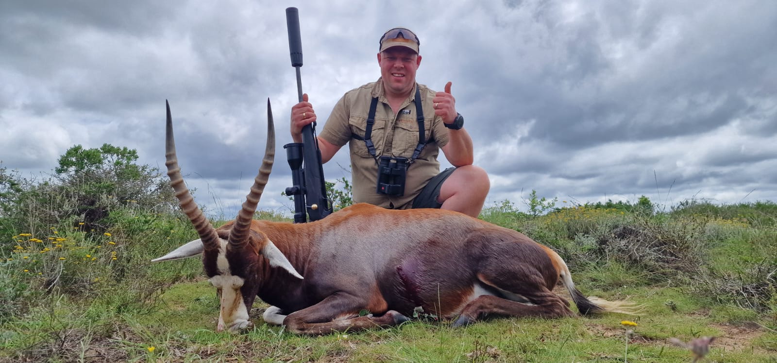 Blesbok hunting safari