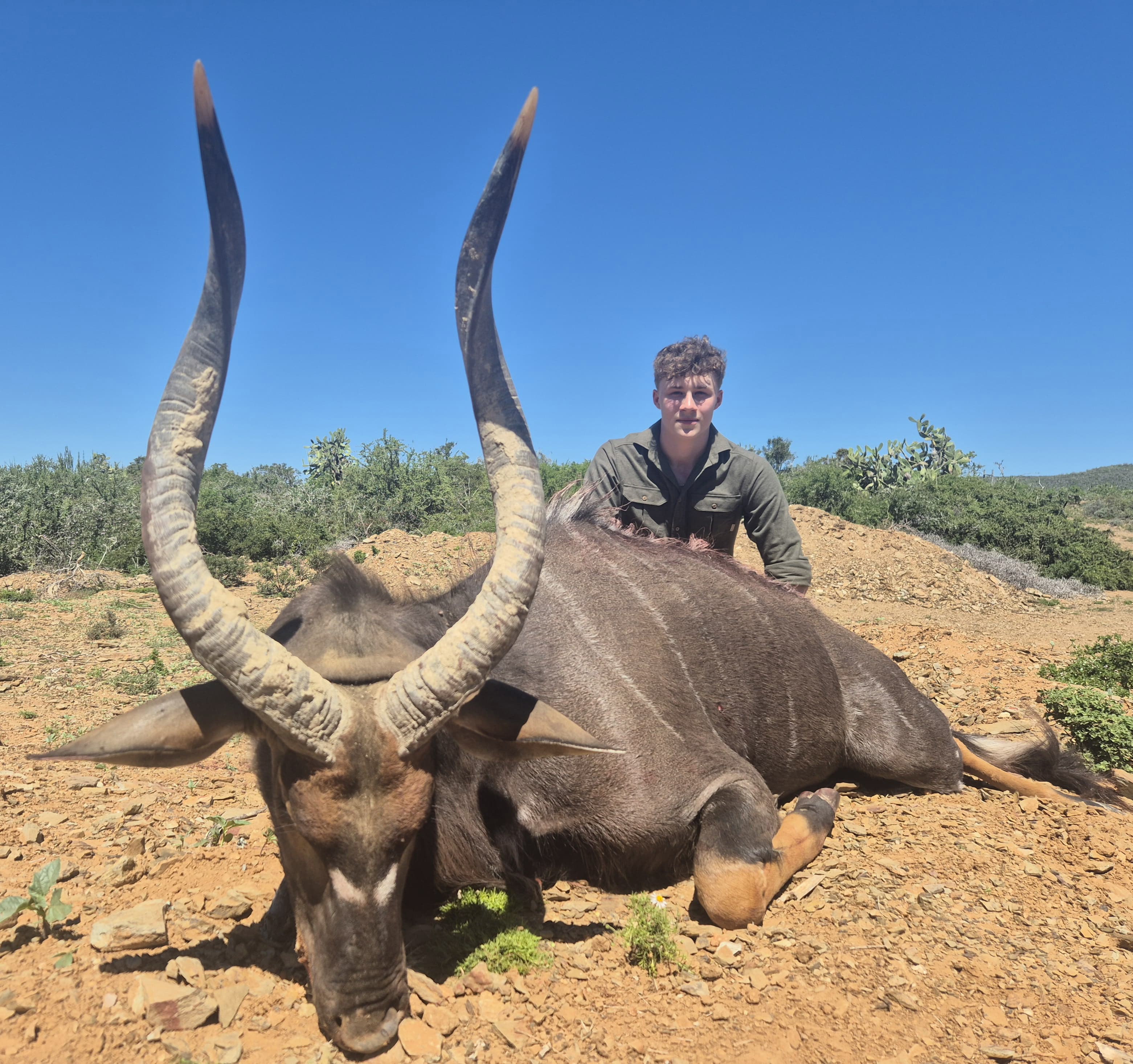 Nyala hunting