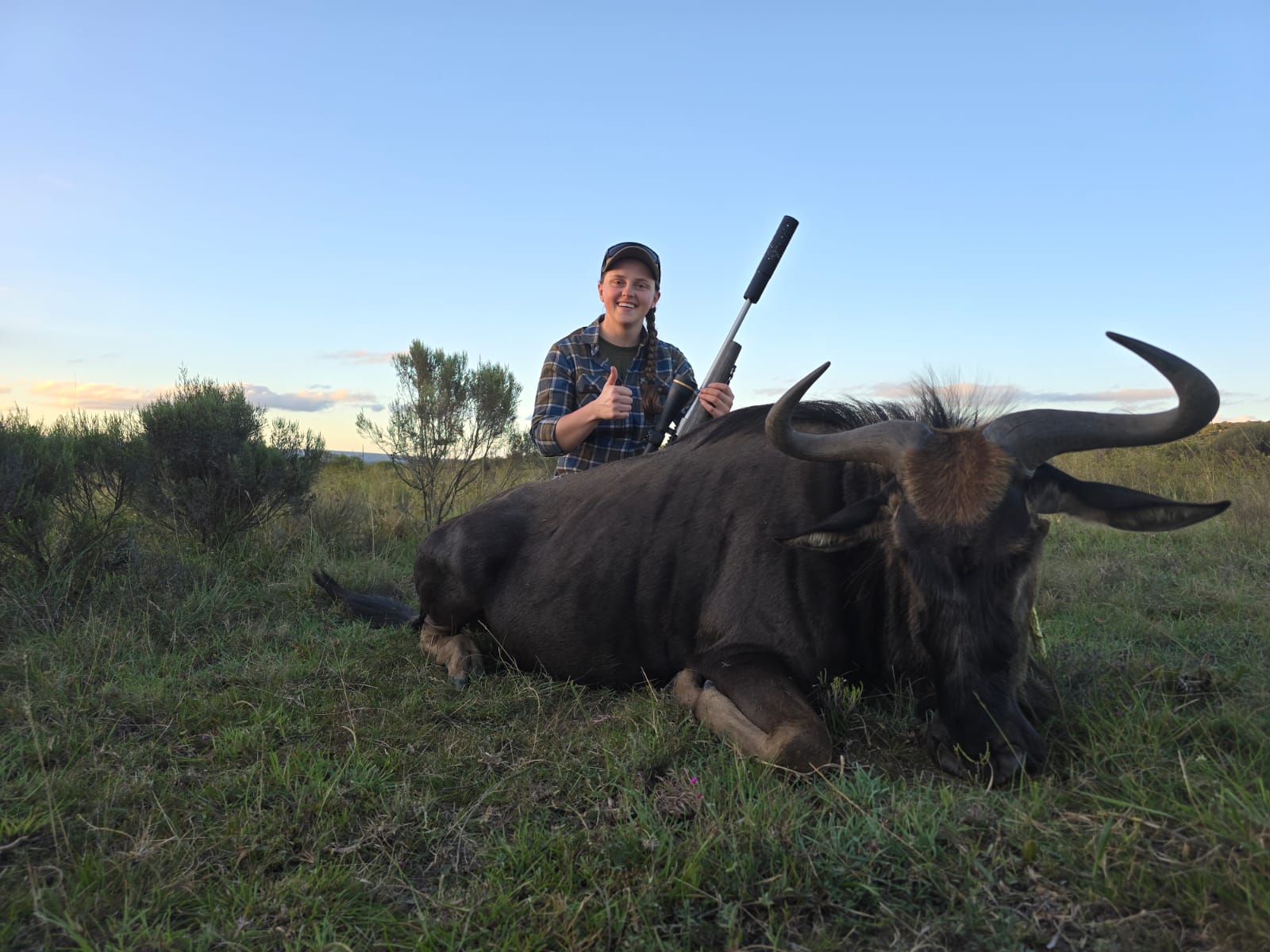 Wildebeest hunting safari